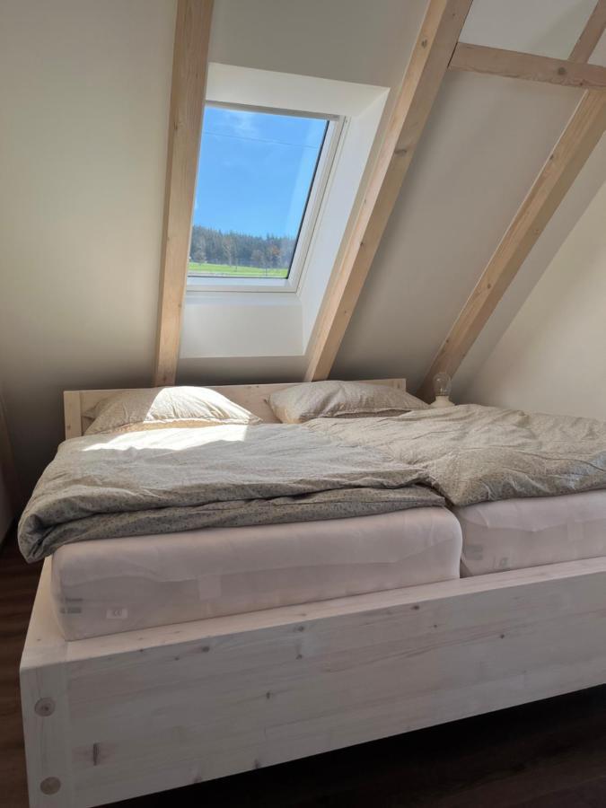 U Kralika, Apartman H, 3 Samostatne Loznice - Mezonet, Vlastni Parkovani, 50 Metru Od Vleku , Vysousece Bot V Lyzarne Dolní Morava 외부 사진